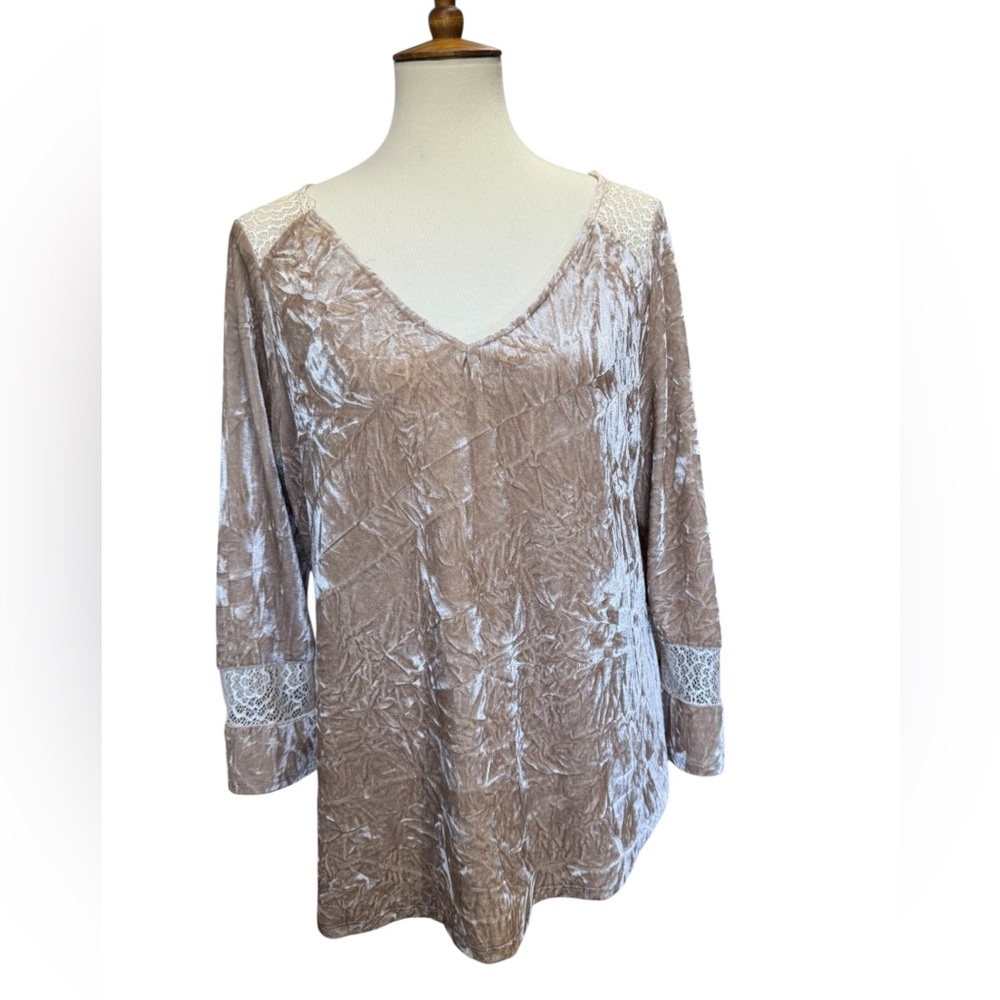 Fig and Flower Tan Velvet Blouse #160